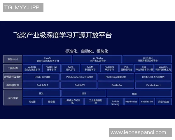 重庆排球队技术揭秘：从基础训练到战术运用的全景分析